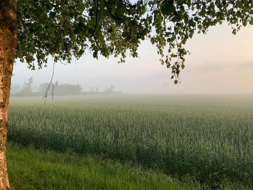 Romantic Luxus Glamping 3 Idestrup Exteriör bild